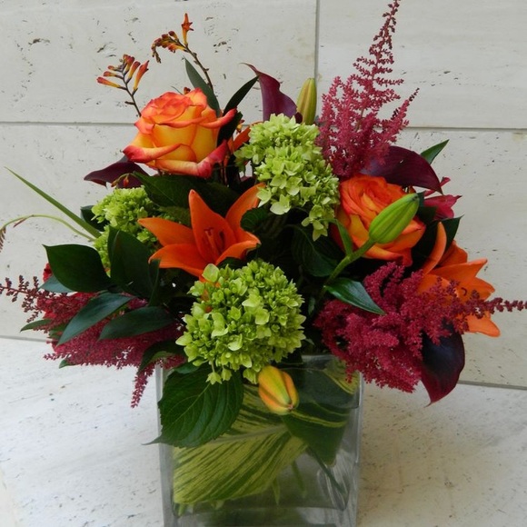 Meet your Posher, Amy - Picture 1 of 1